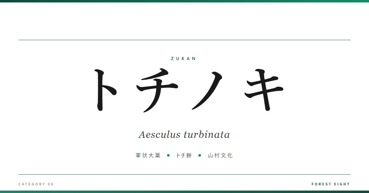 aesculus-turbinata | Forest Eight