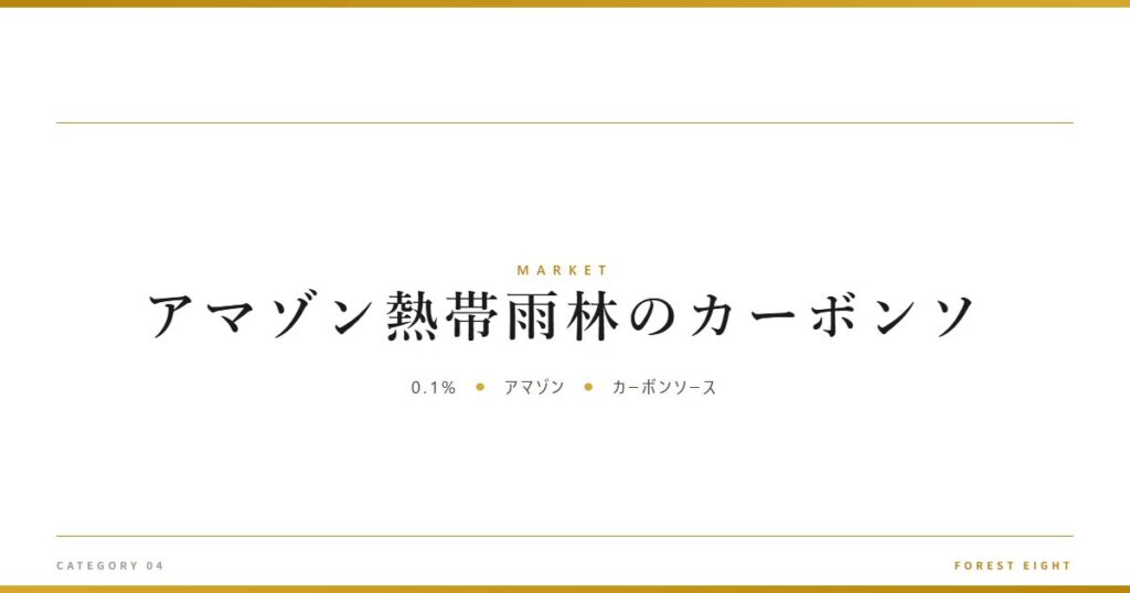 アマゾン熱帯雨林のカーボンソ | 経済とのつながり - Forest Eight