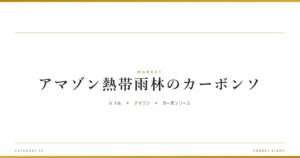 アマゾン熱帯雨林のカーボンソ | 経済とのつながり - Forest Eight