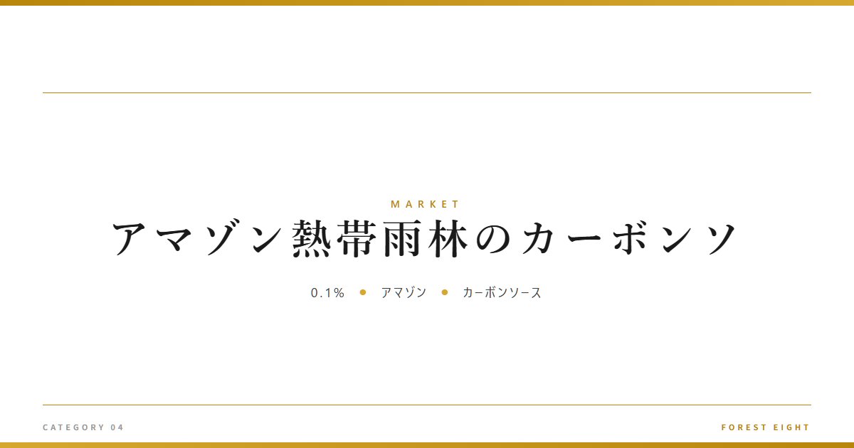 アマゾン熱帯雨林のカーボンソ | 経済とのつながり - Forest Eight