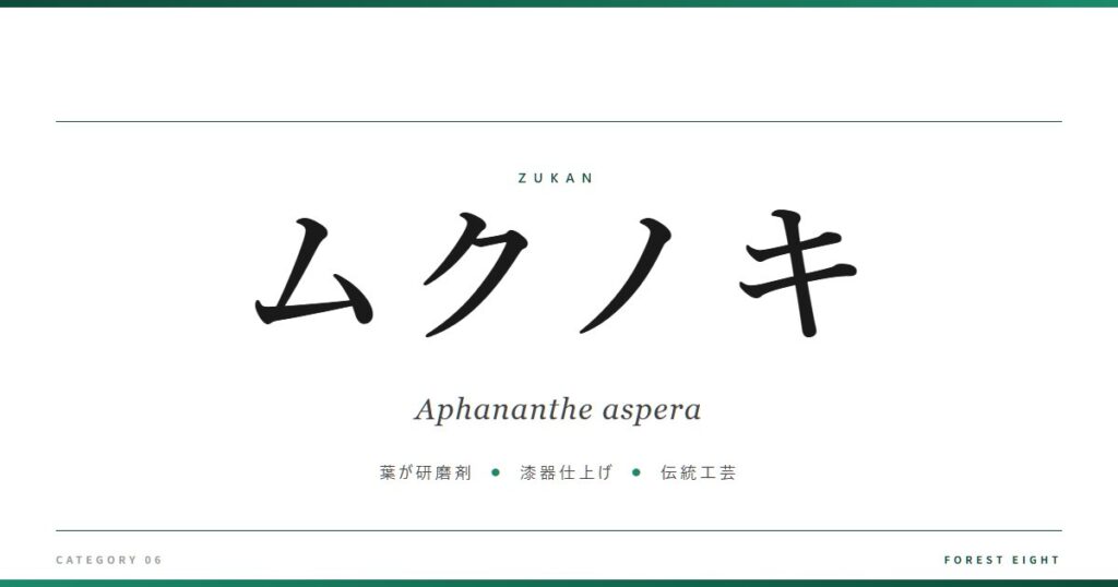 ムクノキ | 樹木図鑑 - Forest Eight