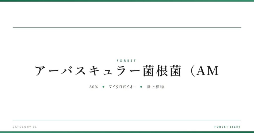 アーバスキュラー菌根菌（AM | 森と所有 - Forest Eight