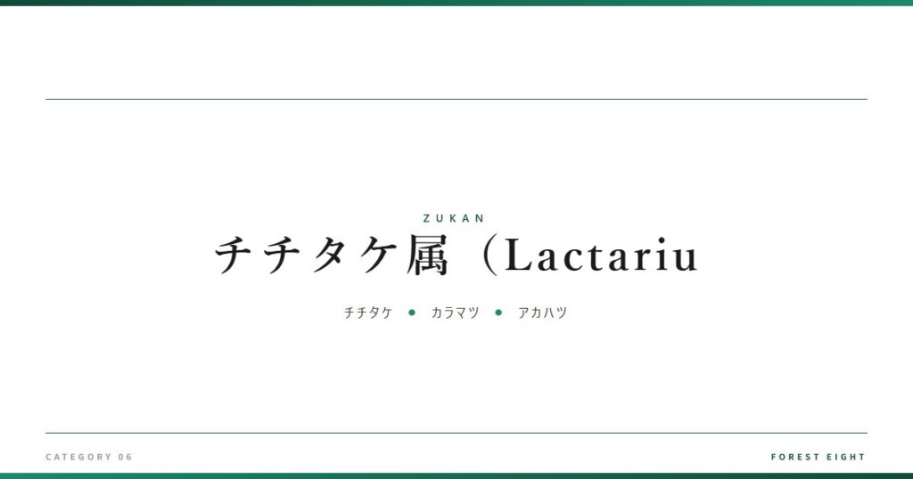 チチタケ属（Lactariu | 樹木図鑑 - Forest Eight
