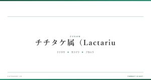 チチタケ属（Lactariu | 樹木図鑑 - Forest Eight