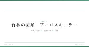 竹林の菌類─アーバスキュラー | 森と所有 - Forest Eight