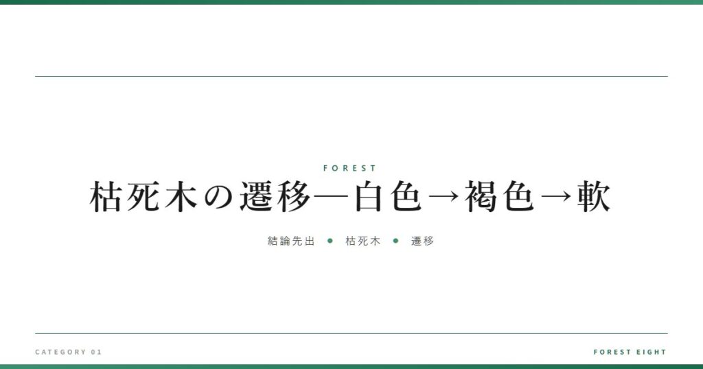枯死木の遷移─白色→褐色→軟 | 森と所有 - Forest Eight