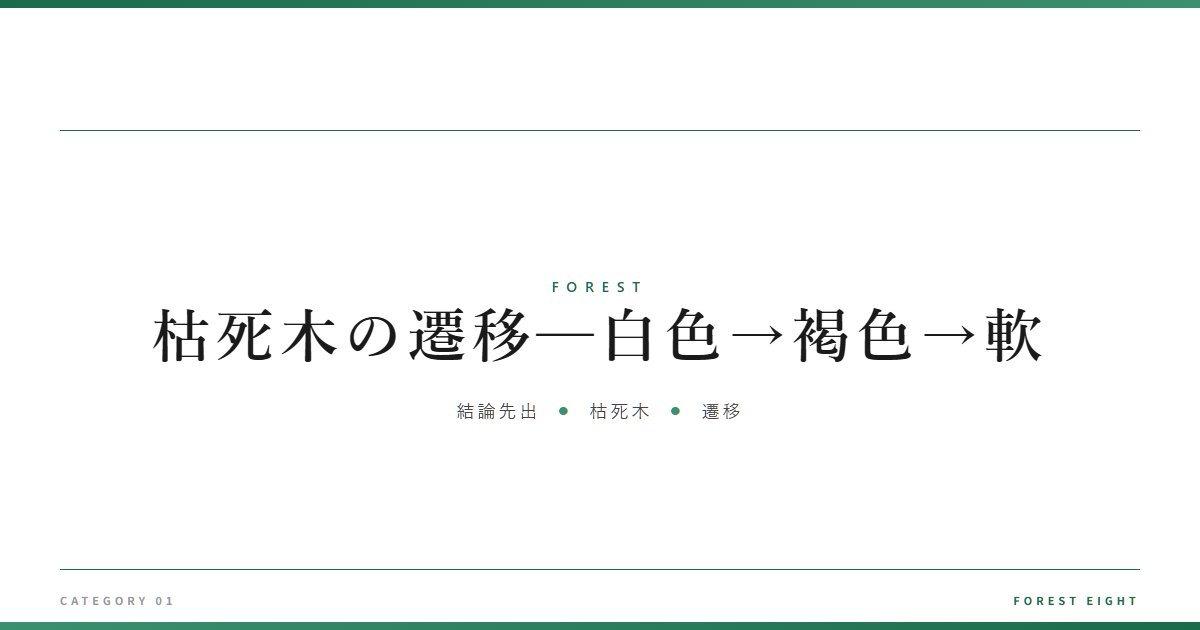 枯死木の遷移─白色→褐色→軟 | 森と所有 - Forest Eight