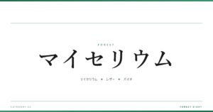 マイセリウム | 森と所有 - Forest Eight