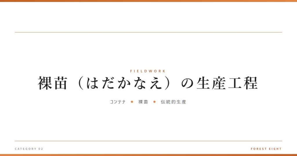 裸苗（はだかなえ）の生産工程 | 育みと収穫 - Forest Eight