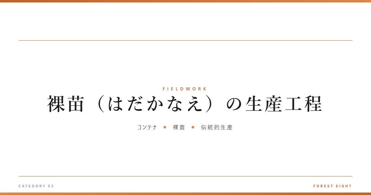 裸苗（はだかなえ）の生産工程 | 育みと収穫 - Forest Eight