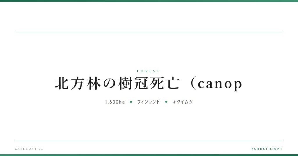 北方林の樹冠死亡（canop | 森と所有 - Forest Eight