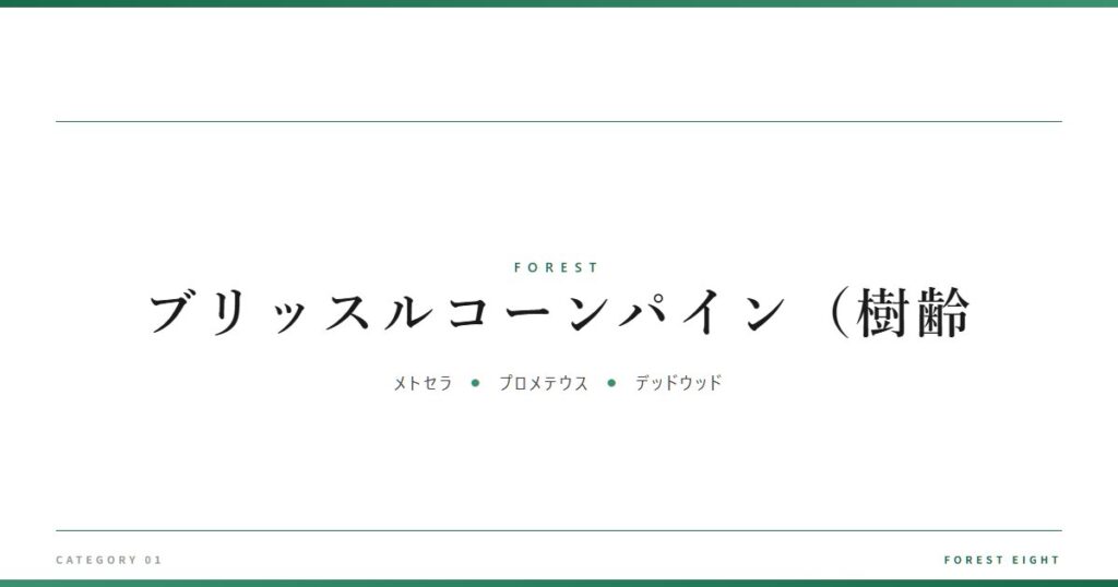 ブリッスルコーンパイン（樹齢 | 森と所有 - Forest Eight