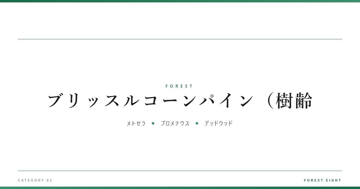 ブリッスルコーンパイン（樹齢 | 森と所有 - Forest Eight