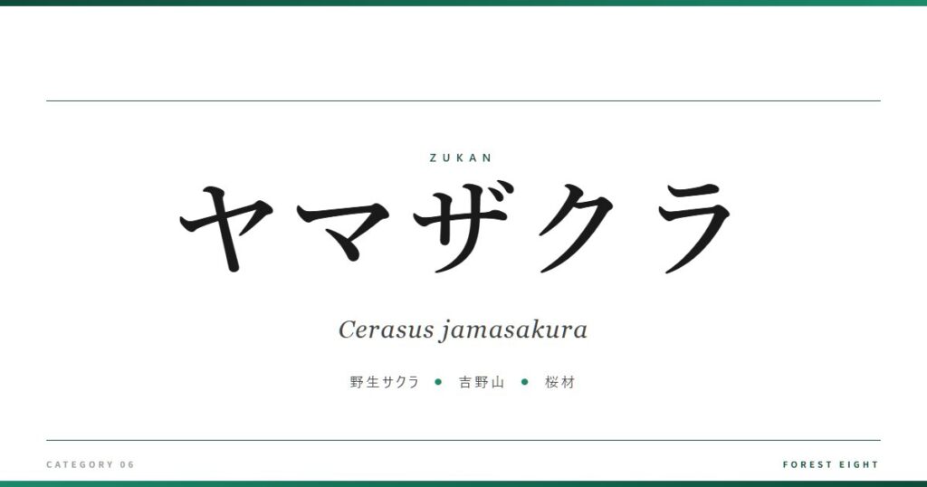ヤマザクラ | 樹木図鑑 - Forest Eight