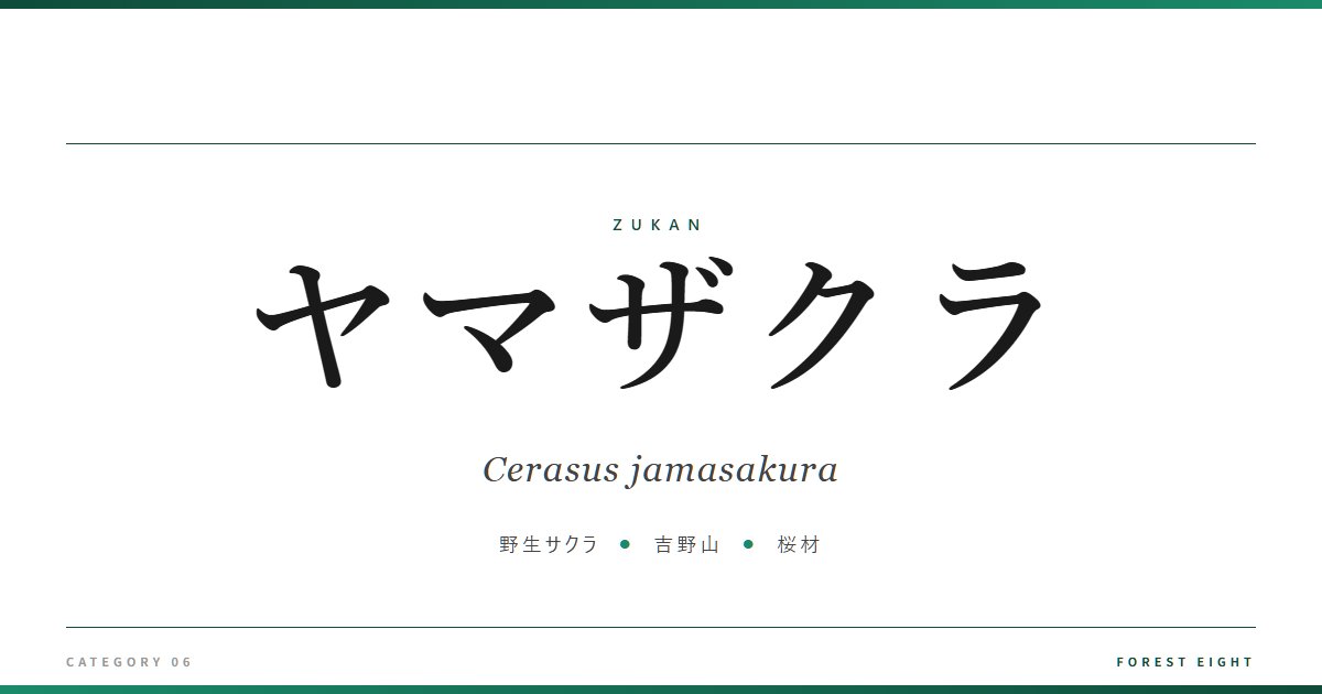 ヤマザクラ | 樹木図鑑 - Forest Eight