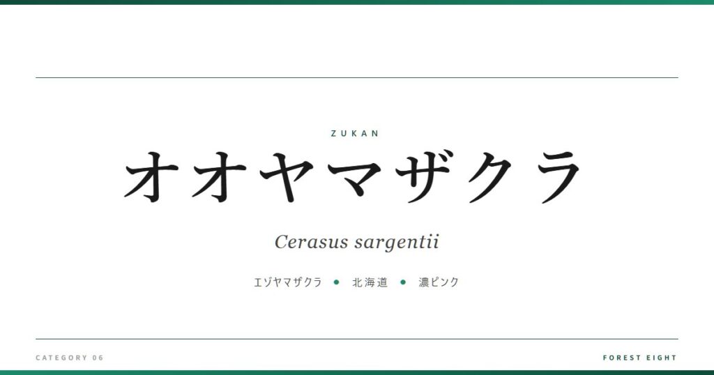 オオヤマザクラ | 樹木図鑑 - Forest Eight