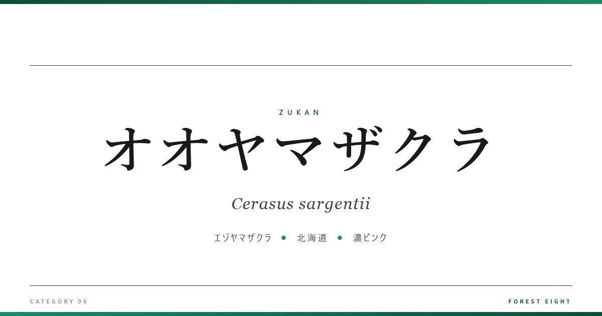 オオヤマザクラ | 樹木図鑑 - Forest Eight