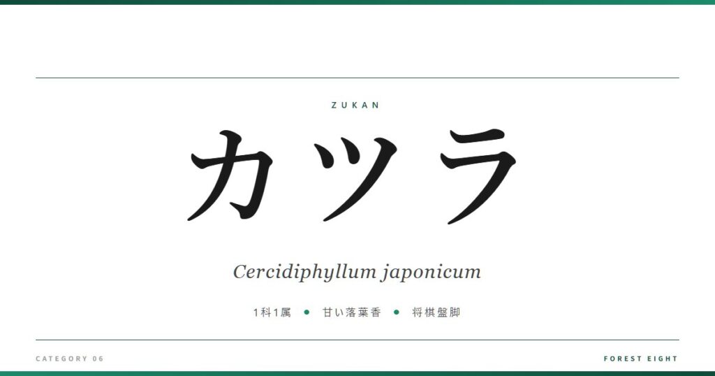 カツラ | 樹木図鑑 - Forest Eight