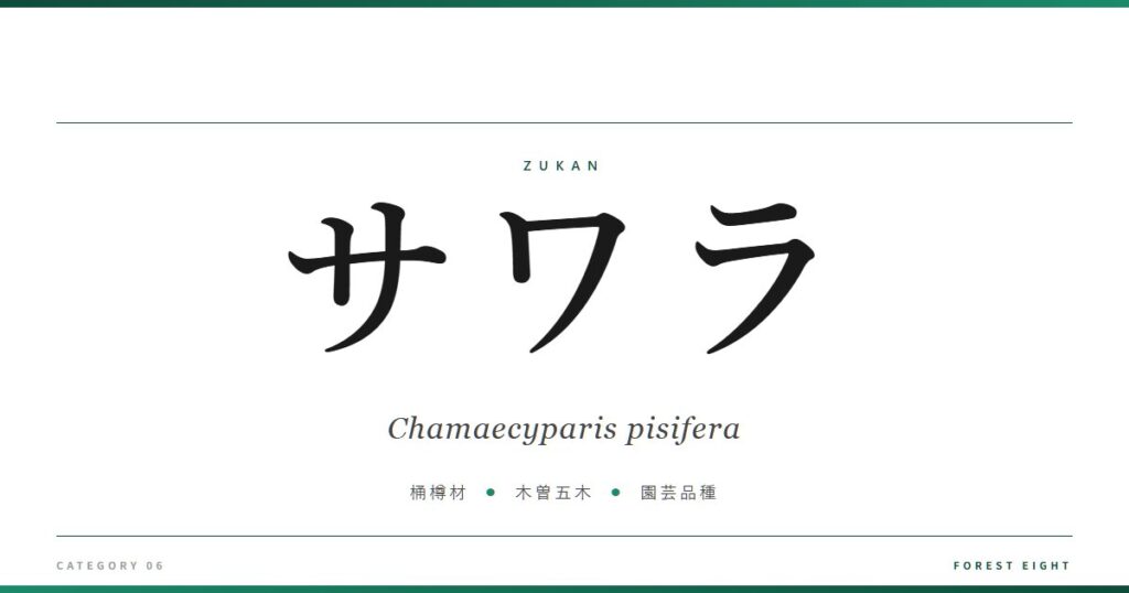 サワラ | 樹木図鑑 - Forest Eight
