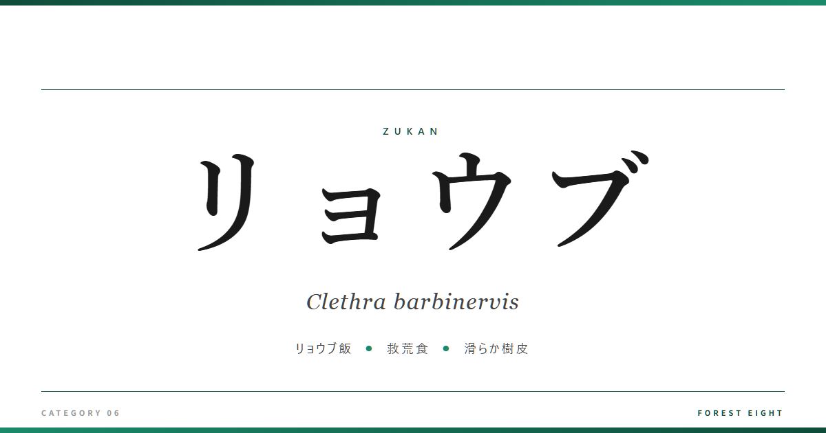 clethra-barbinervis | Forest Eight