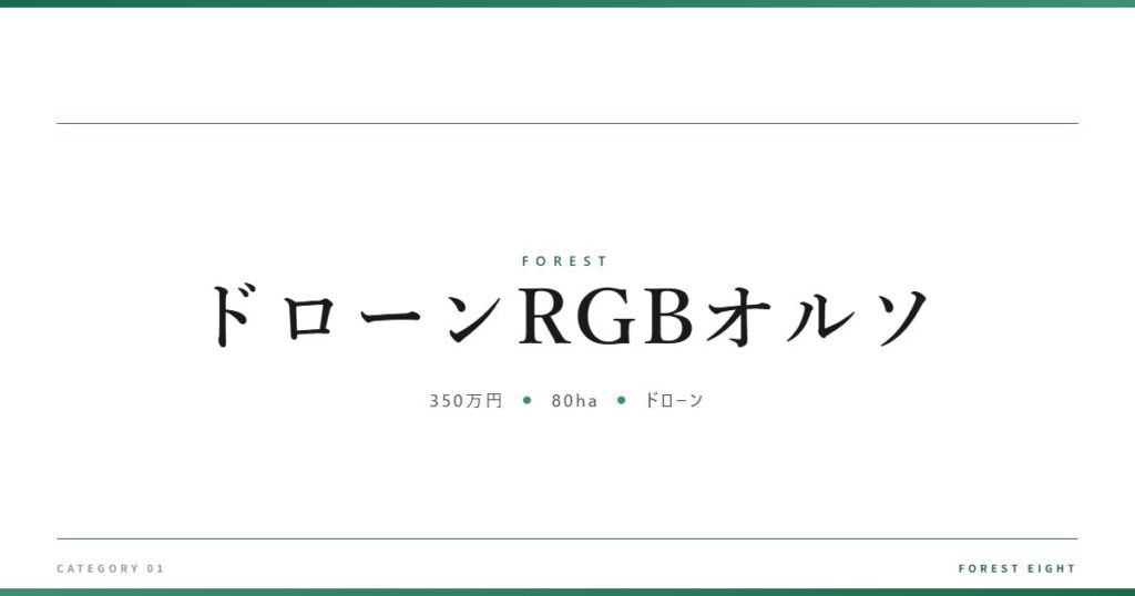 ドローンRGBオルソ | 森と所有 - Forest Eight