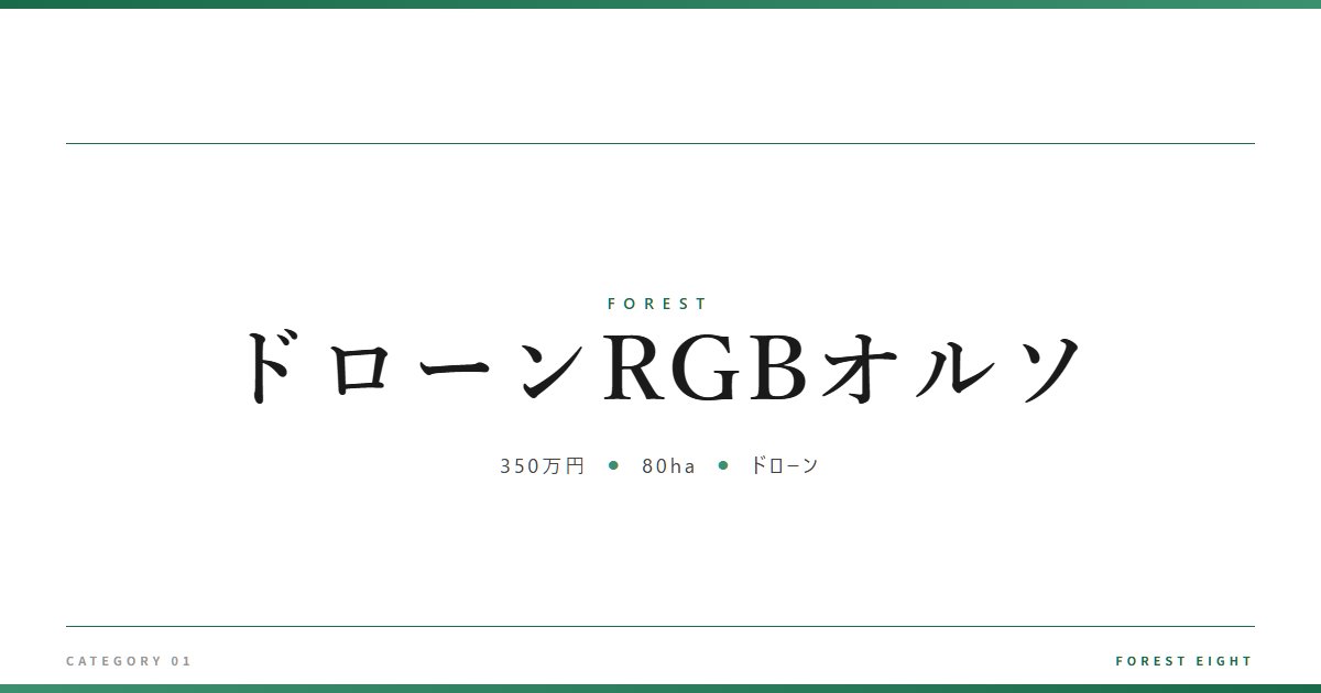 ドローンRGBオルソ | 森と所有 - Forest Eight