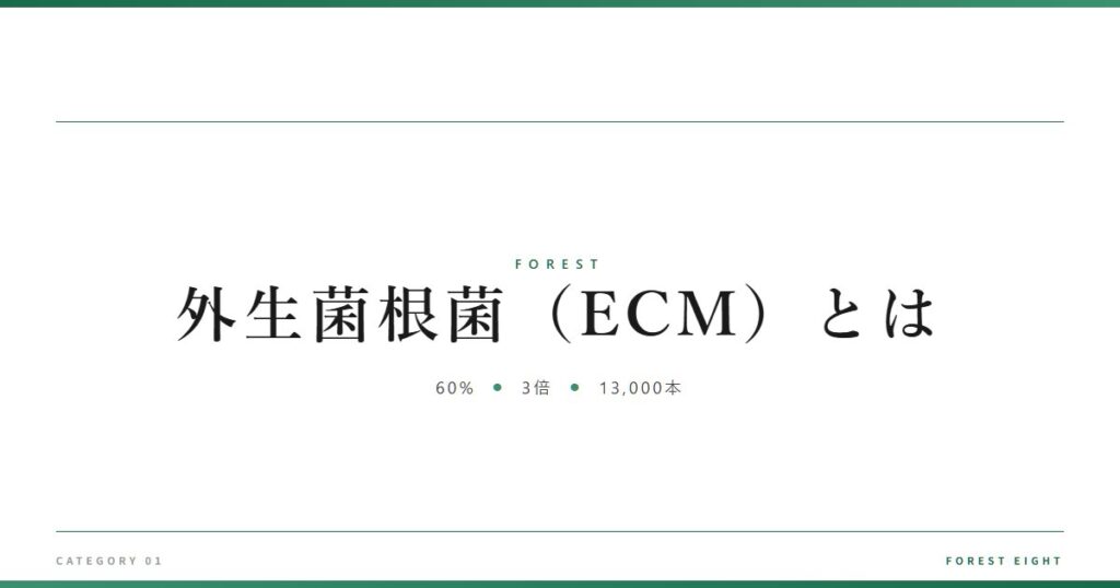 外生菌根菌（ECM）とは | 森と所有 - Forest Eight