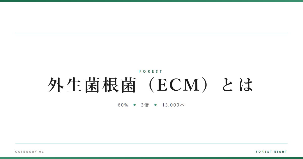 外生菌根菌（ECM）とは | 森と所有 - Forest Eight