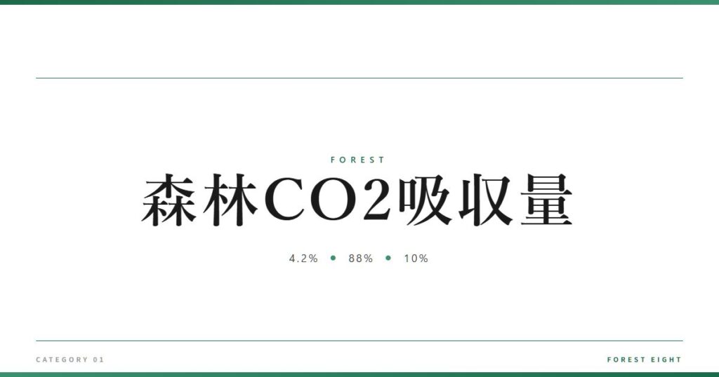 forest-co2-absorption-48m | Forest Eight