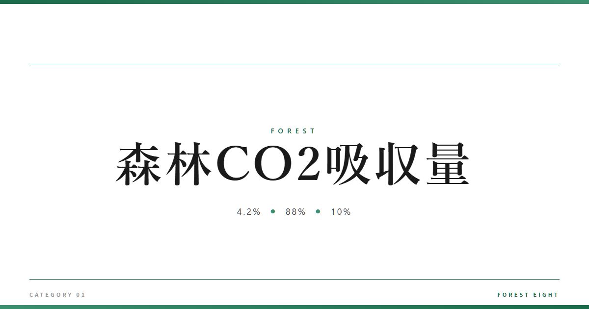 forest-co2-absorption-48m | Forest Eight