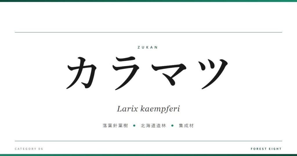 カラマツ | 樹木図鑑 - Forest Eight
