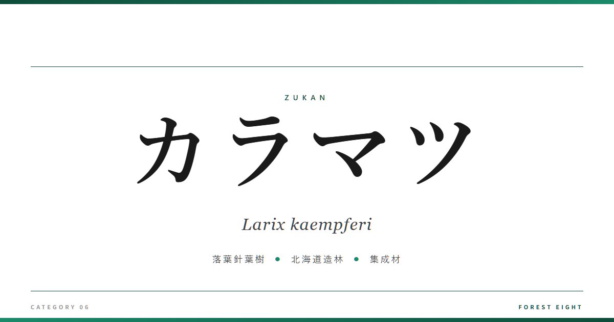 カラマツ | 樹木図鑑 - Forest Eight