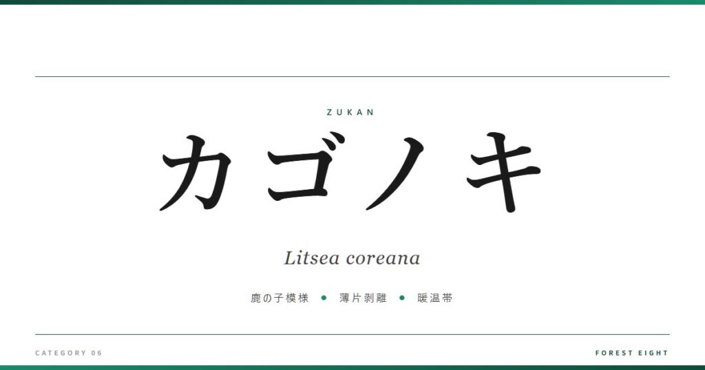 カゴノキ | 樹木図鑑 - Forest Eight