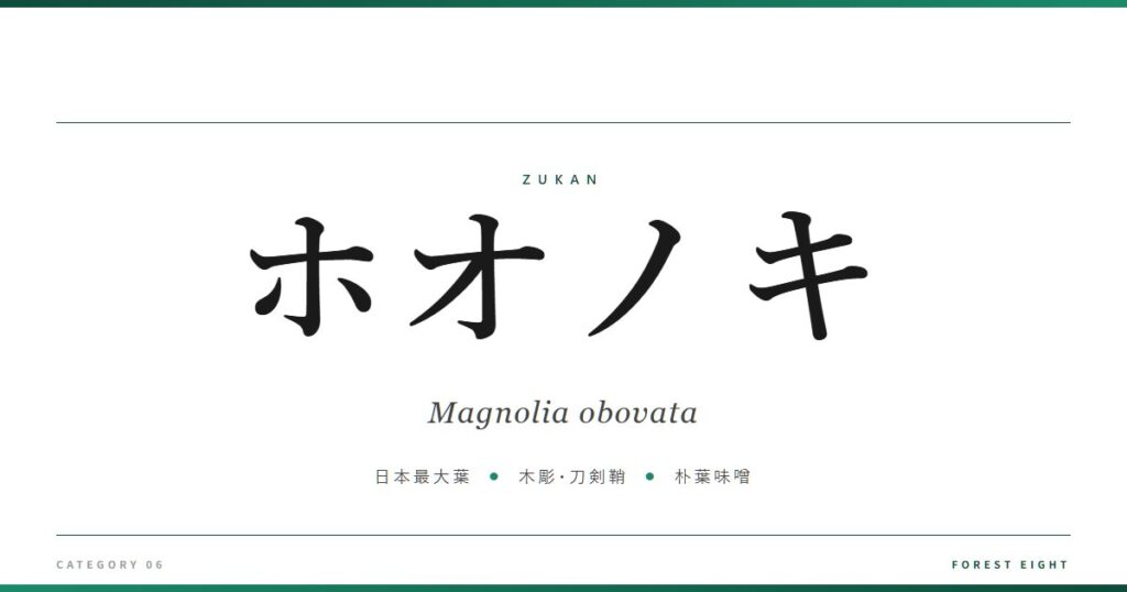 ホオノキ | 樹木図鑑 - Forest Eight