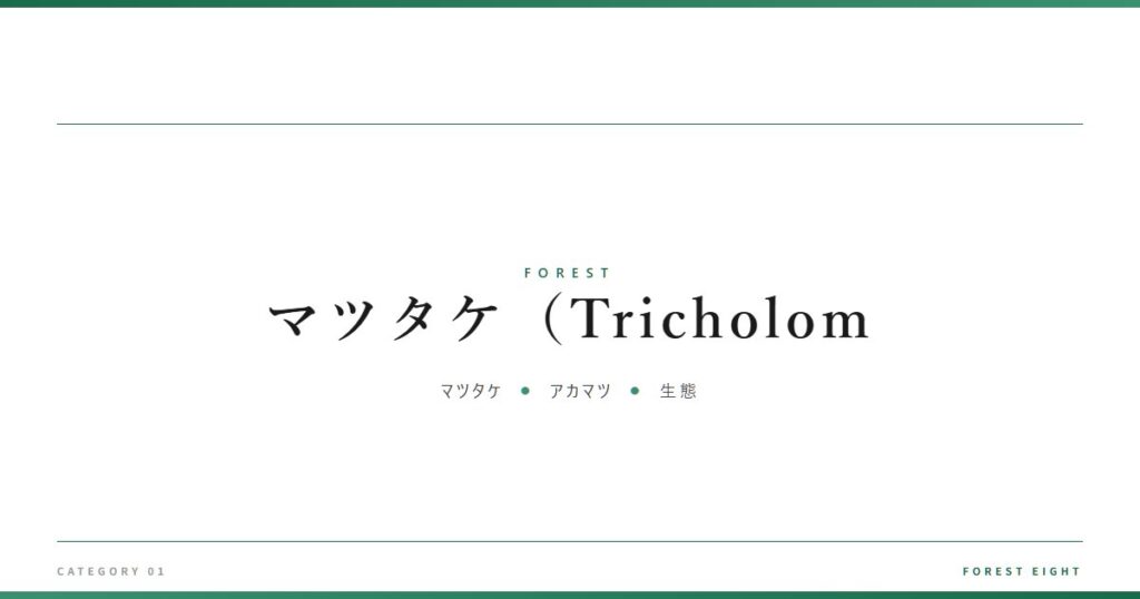 マツタケ（Tricholom | 森と所有 - Forest Eight