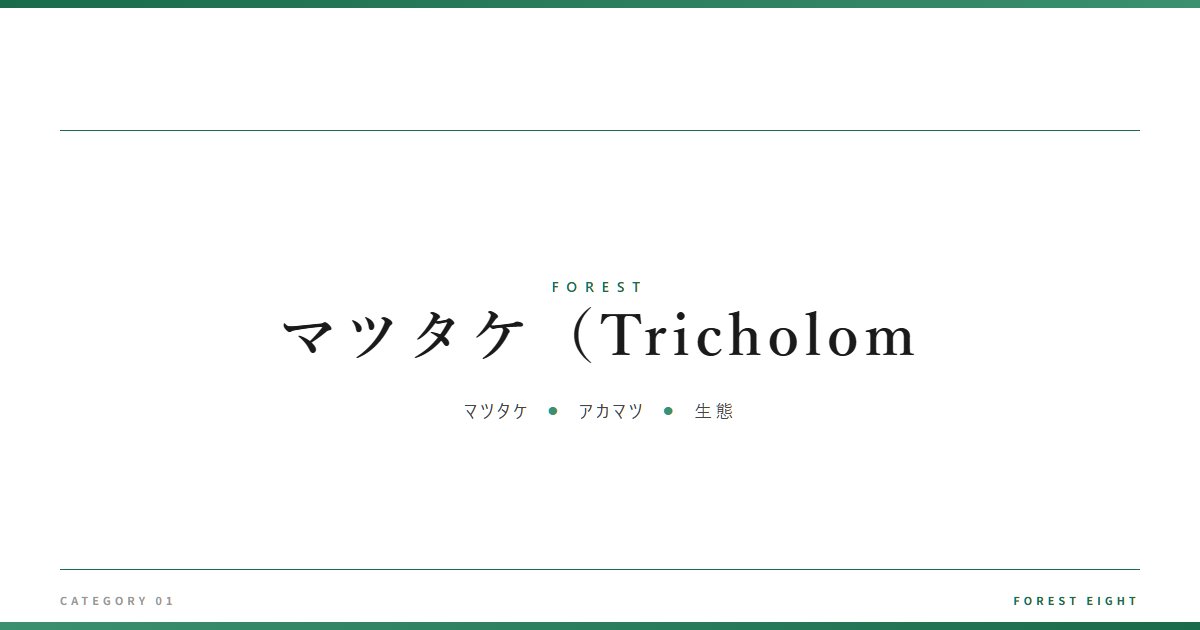 マツタケ(Tricholom | 森と所有 - Forest Eight