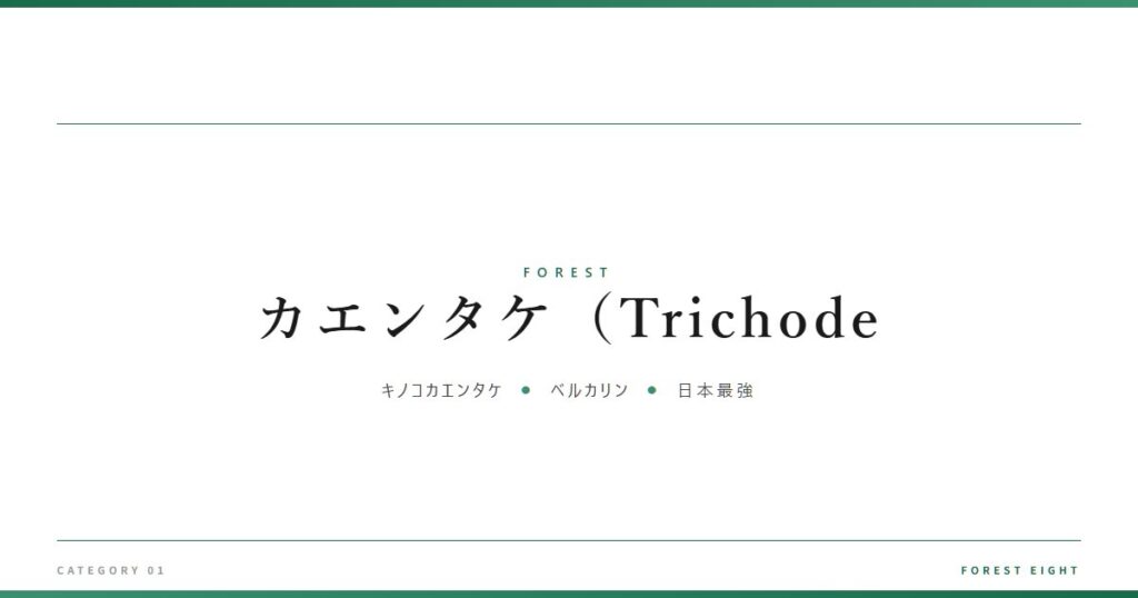 カエンタケ（Trichode | 森と所有 - Forest Eight