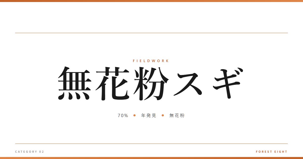 無花粉スギ | 育みと収穫 - Forest Eight