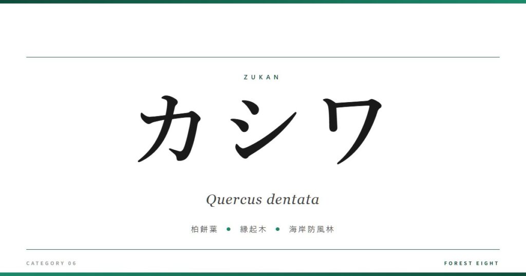 カシワ | 樹木図鑑 - Forest Eight