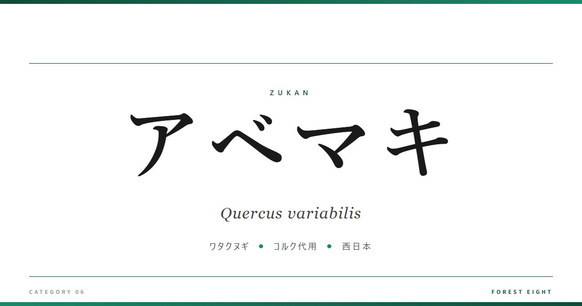 アベマキ | 樹木図鑑 - Forest Eight