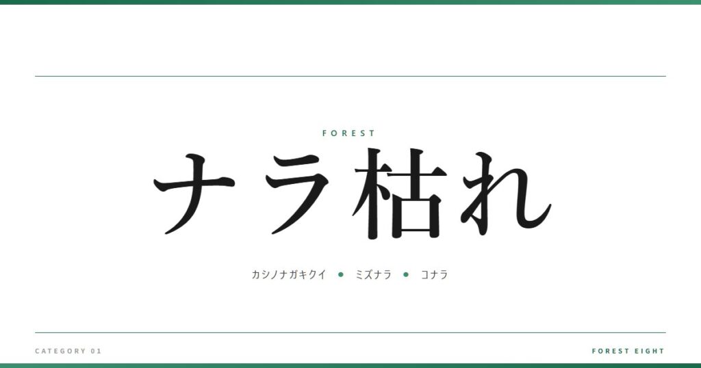 ナラ枯れ | 森と所有 - Forest Eight