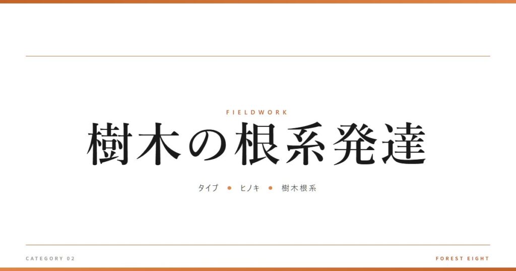 樹木の根系発達 | 育みと収穫 - Forest Eight