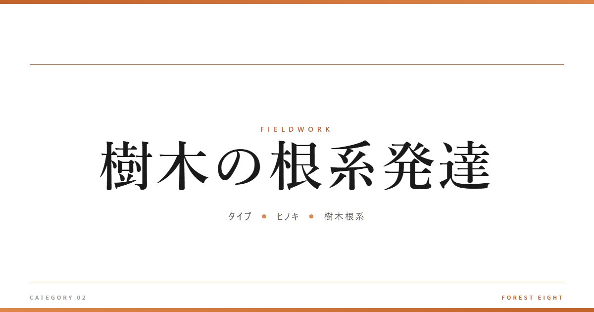 樹木の根系発達 | 育みと収穫 - Forest Eight