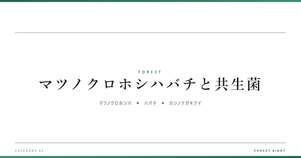 マツノクロホシハバチと共生菌 | 森と所有 - Forest Eight