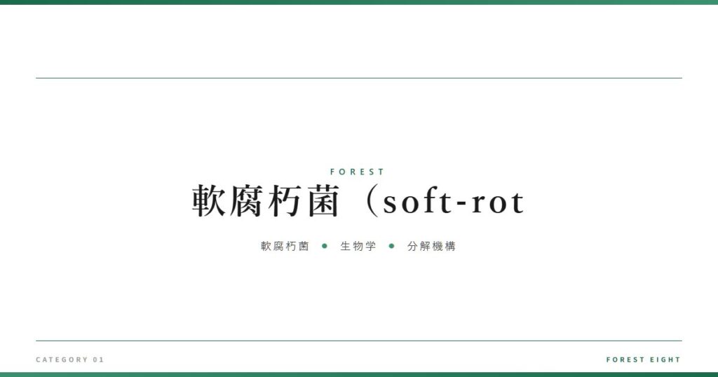 軟腐朽菌（soft-rot | 森と所有 - Forest Eight