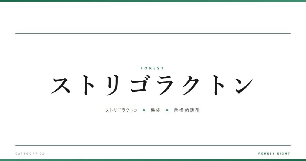 ストリゴラクトン | 森と所有 - Forest Eight
