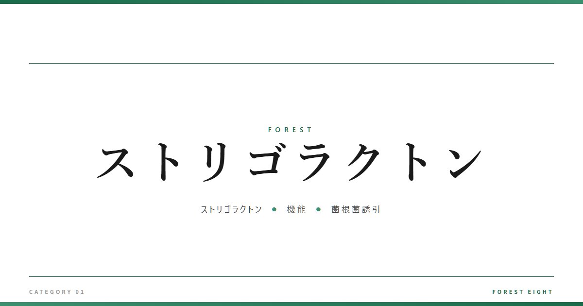 ストリゴラクトン | 森と所有 - Forest Eight