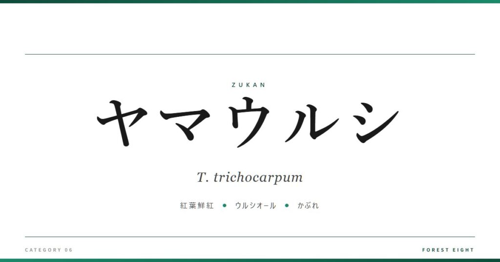 ヤマウルシ | 樹木図鑑 - Forest Eight