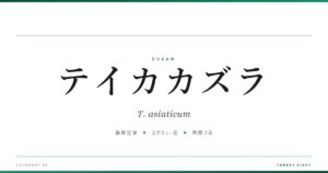 テイカカズラ | 樹木図鑑 - Forest Eight