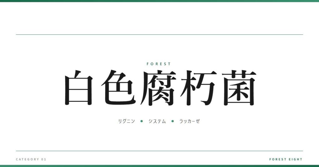 白色腐朽菌 | 森と所有 - Forest Eight